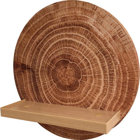 Log Wall Displayer